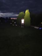 BTR Direct Sports BTR High Visibility & Totally Reflective Running & Cycling Gilet & Vest - No Pockets Classic Style Review