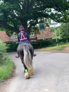 BTR pink high visibility sash and vest been worn by a rider on a horse