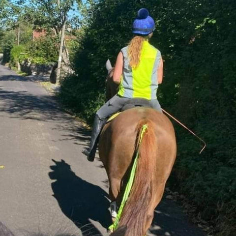 horserider on the road